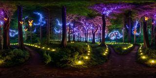Enchanted forest environment